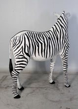 Load image into Gallery viewer, ZEBRA JR 110075
