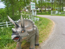 Load image into Gallery viewer, TRICERATOPS JR 1594
