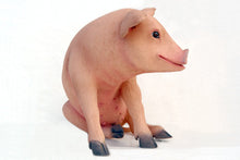 Load image into Gallery viewer, PIG SITTING JR 2430
