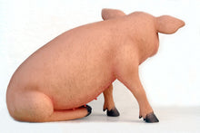 Load image into Gallery viewer, PIG SITTING JR 2430
