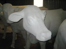 Load image into Gallery viewer, COW HEAD UP WITHOUT HORNS JR SB006
