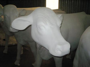 COW HEAD UP WITHOUT HORNS JR SB006